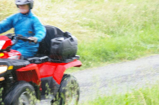 IMGP1485